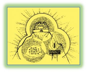 Fifth Sunday in Ordinary Time (A)