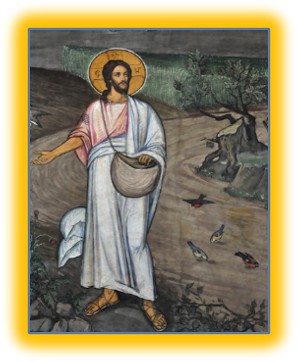 Fifteenth Sunday in Ordinary Time (A)