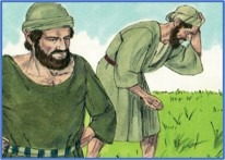 Sixteenth Sunday in Ordinary Time (A)