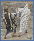 Twenty Second Sunday in Ordinary Time (A)