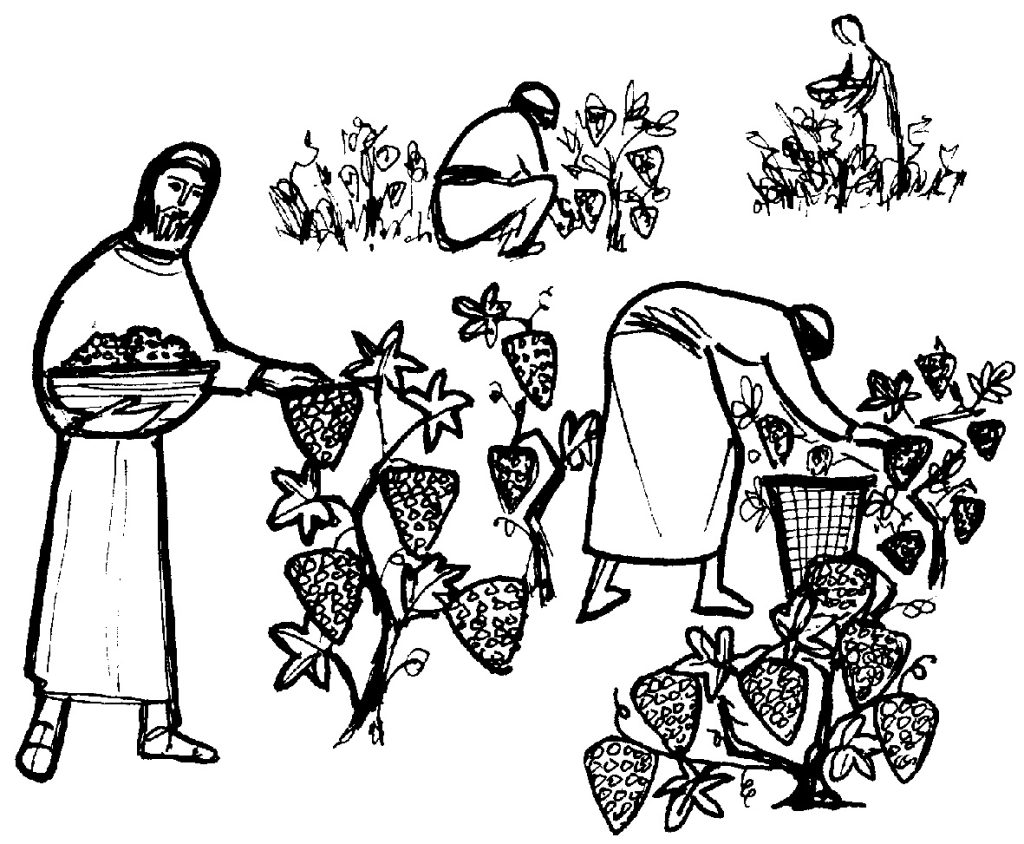 Twenty Sixth Sunday in Ordinary Time (A)