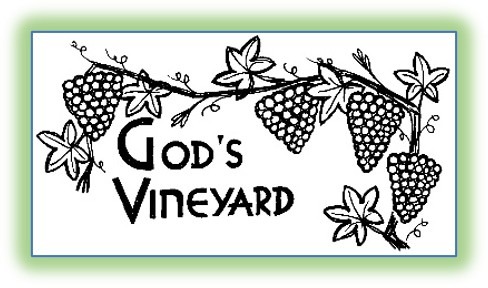 Twenty Seventh Sunday in Ordinary Time (A)