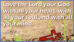 Thirtieth Sunday in Ordinary Time (A)